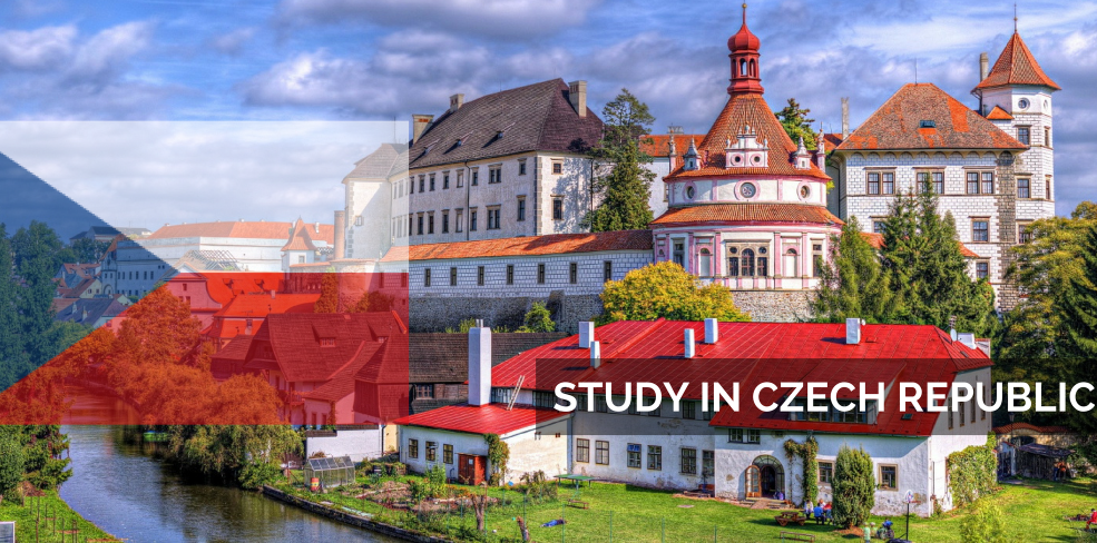 Czech%20Study.png